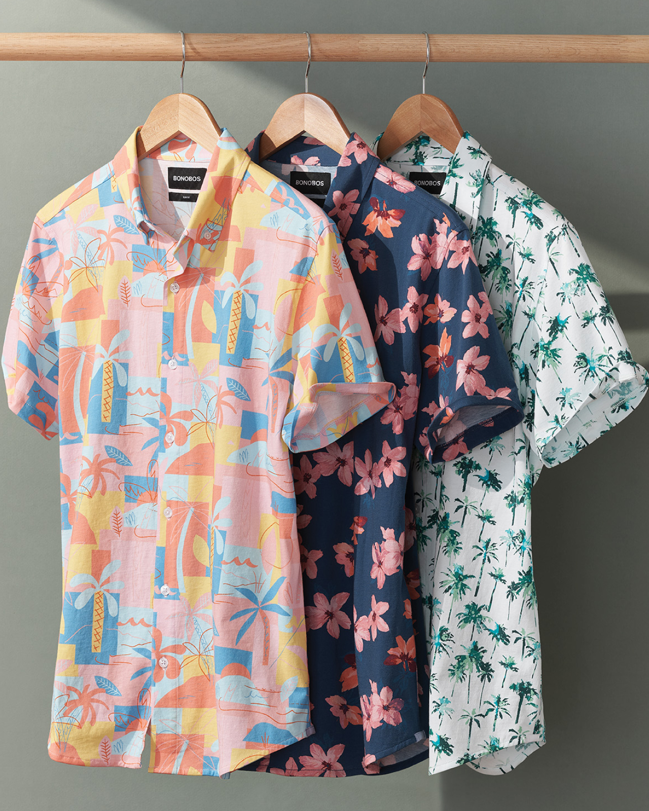 Bonobo visual data 7